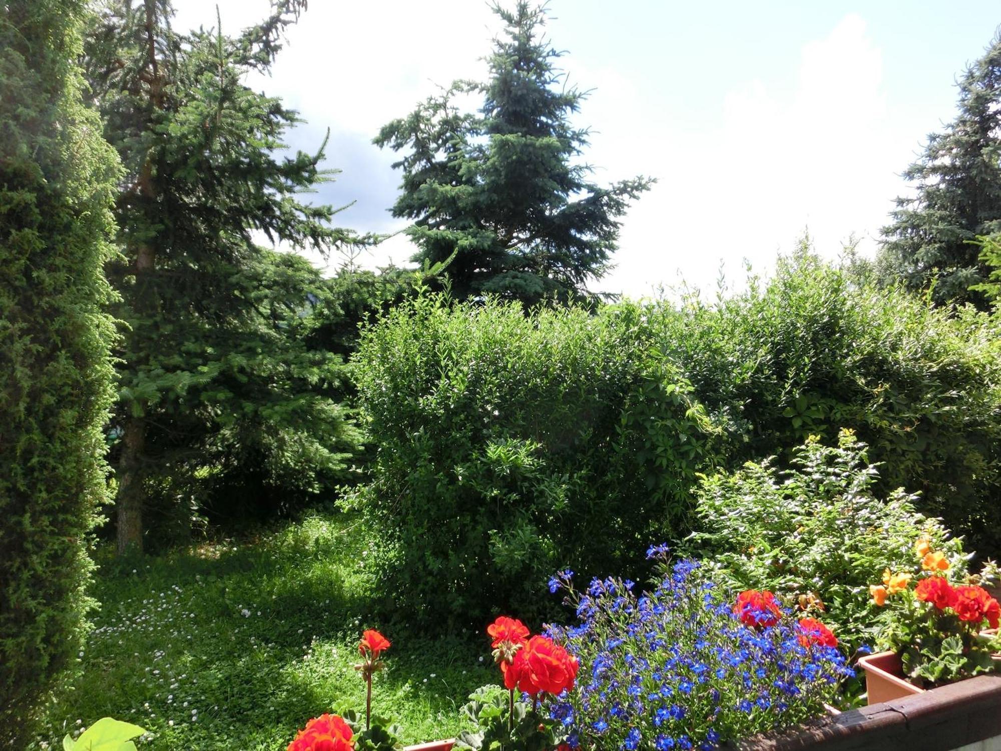 Holiday Home In Cattenstedt Harz With Garden Eksteriør bilde